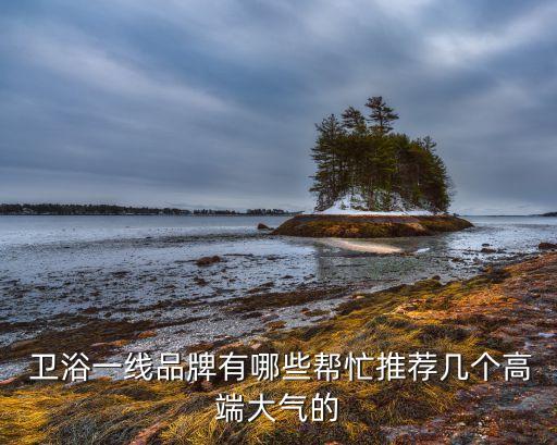 想找一個衛(wèi)浴品牌