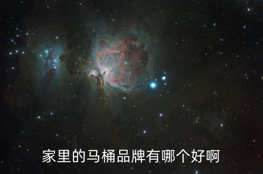 家里的馬桶品牌有哪個(gè)好啊