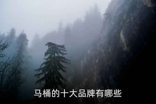 衛(wèi)浴便槽品牌推薦一下,性價比高的衛(wèi)浴品牌推薦