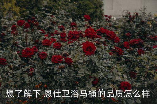 想了解下 恩仕衛(wèi)浴馬桶的品質(zhì)怎么樣