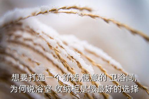 冠珠衛(wèi)浴收納設(shè)計(jì)圖紙圖片