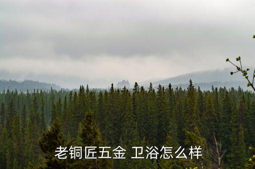  老銅匠五金 衛(wèi)浴怎么樣