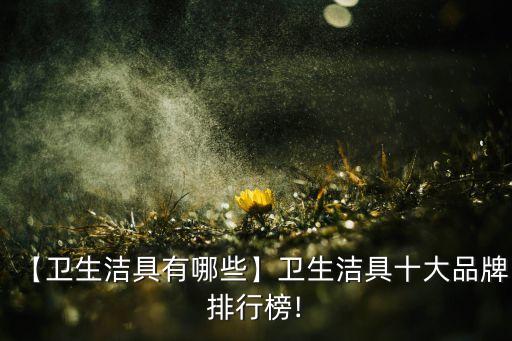 向往的生活衛(wèi)浴是什么品牌