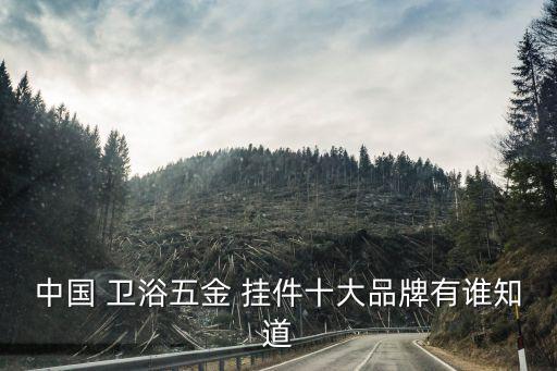 湖南品牌衛(wèi)浴掛件,304不銹鋼衛(wèi)浴掛件品牌哪個好