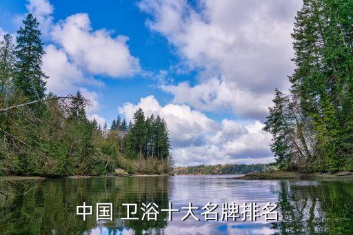 中國 衛(wèi)浴十大名牌排名