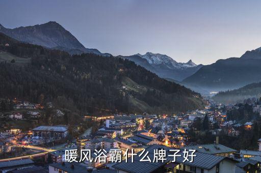 暖風浴霸什么牌子好