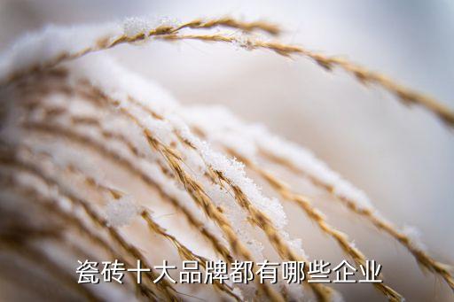  瓷磚十大品牌都有哪些企業(yè)