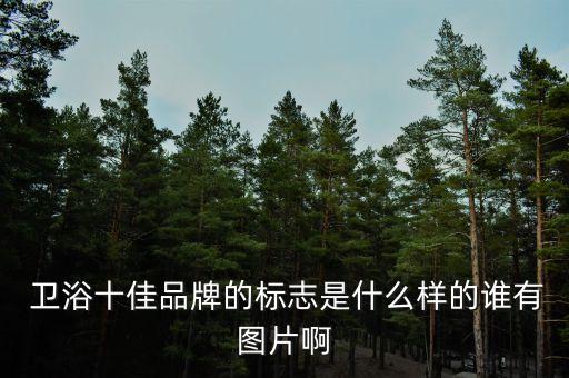 logo是三角形的衛(wèi)浴品牌,三角形豹頭logo品牌衣服