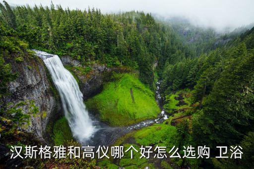 漢斯格雅和高儀哪個(gè)好怎么選購(gòu) 衛(wèi)浴