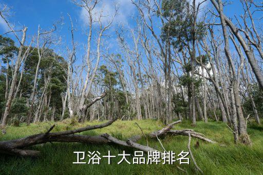 衛(wèi)浴十大品牌排名