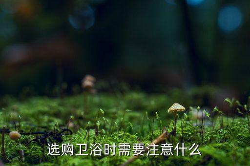 選購(gòu)衛(wèi)浴時(shí)需要注意什么