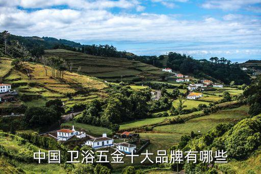 衛(wèi)浴配件模具有哪些品牌,水暖衛(wèi)浴都有哪些配件