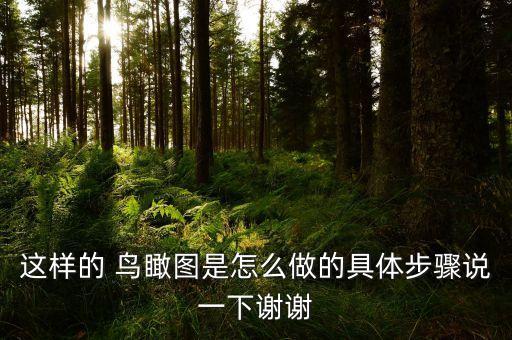 這樣的 鳥瞰圖是怎么做的具體步驟說(shuō)一下謝謝
