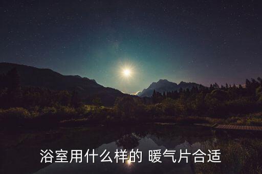 浴室用什么樣的 暖氣片合適