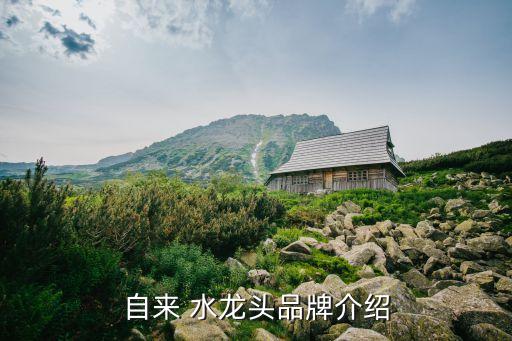 自來(lái) 水龍頭品牌介紹