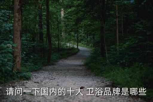 請(qǐng)問(wèn)一下國(guó)內(nèi)的十大 衛(wèi)浴品牌是哪些