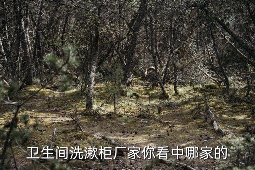 衛(wèi)生間洗漱柜廠家你看中哪家的