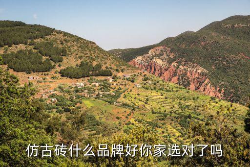 木紋磚選衛(wèi)浴品牌推薦哪個