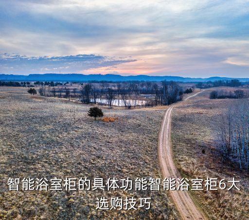 智能浴室柜的具體功能智能浴室柜6大選購(gòu)技巧