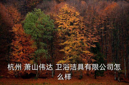 杭州 蕭山偉達(dá) 衛(wèi)浴潔具有限公司怎么樣