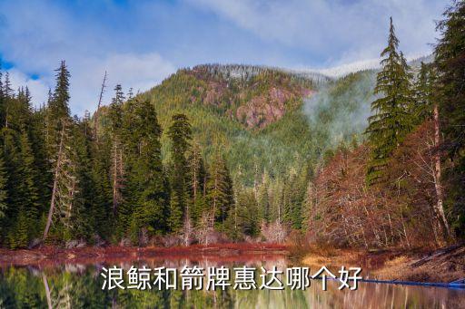 浪鯨和箭牌惠達(dá)哪個(gè)好