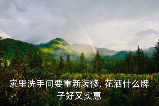 家里洗手間要重新裝修, 花灑什么牌子好又實(shí)惠