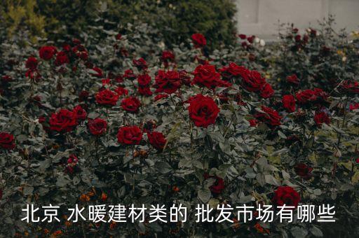 北京 水暖建材類的 批發(fā)市場(chǎng)有哪些