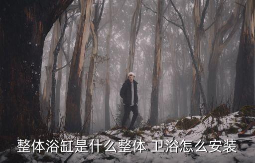 整體浴缸是什么整體 衛(wèi)浴怎么安裝