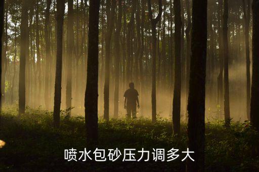 實(shí)測(cè)衛(wèi)浴噴槍尺寸圖片視頻