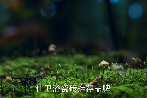 艾瑪仕衛(wèi)浴瓷磚推薦品牌