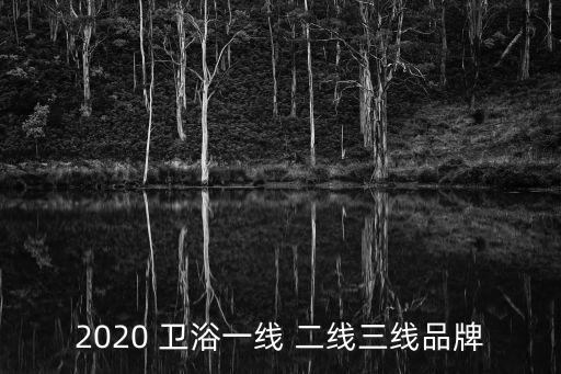 2020 衛(wèi)浴一線 二線三線品牌