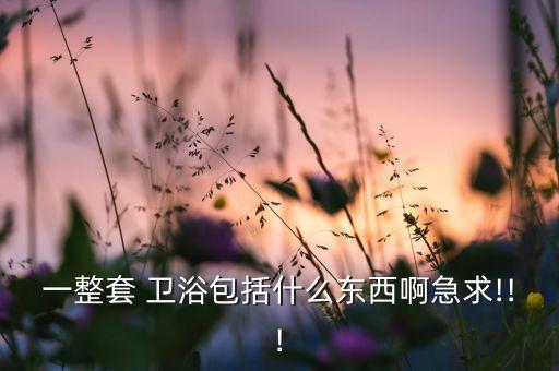 一整套 衛(wèi)浴包括什么東西啊急求!!!