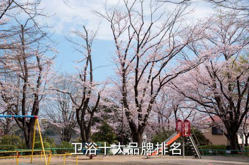 潔具衛(wèi)浴圖冊電子版圖片,東鵬潔具衛(wèi)浴圖片