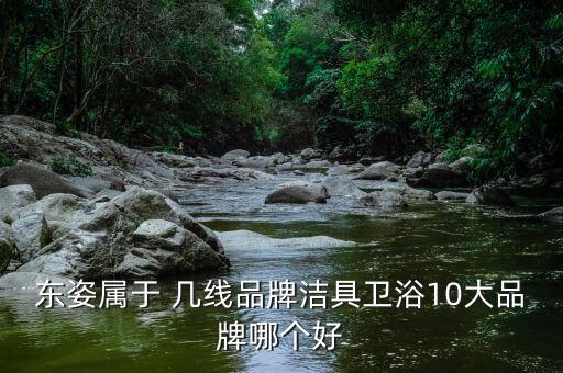 東姿屬于 幾線品牌潔具衛(wèi)浴10大品牌哪個好
