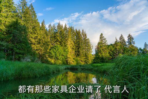都有那些家具企業(yè)請了 代言人