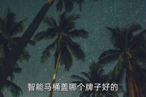 智能馬桶蓋哪個牌子好的
