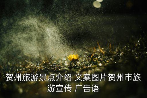 摩恩衛(wèi)浴廣告文案大全圖片,摩恩曼衛(wèi)浴是幾線品牌