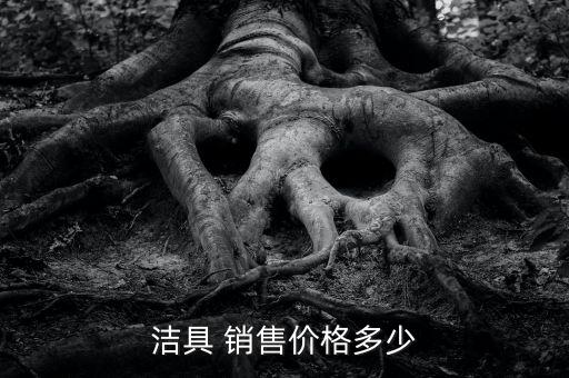 潔具 銷售價格多少