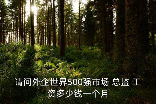 請問外企世界500強市場 總監(jiān) 工資多少錢一個月