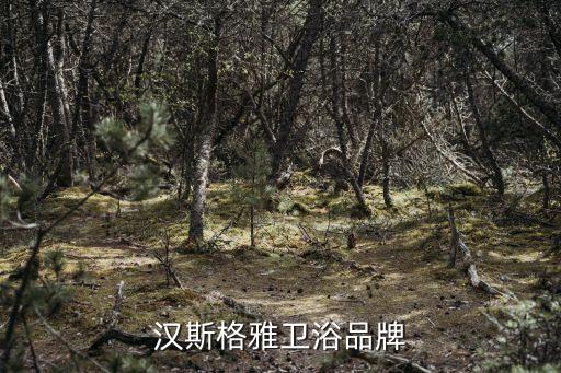 漢斯格雅衛(wèi)浴品牌
