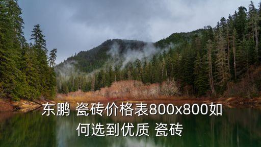 東鵬衛(wèi)浴瓷磚搭配圖片及價(jià)格