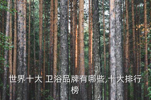 衛(wèi)浴獨(dú)具創(chuàng)意品牌有哪些,創(chuàng)意衛(wèi)浴是幾線品牌