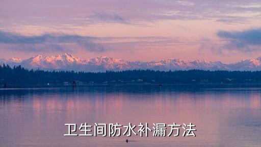 衛(wèi)生間防水補(bǔ)漏方法