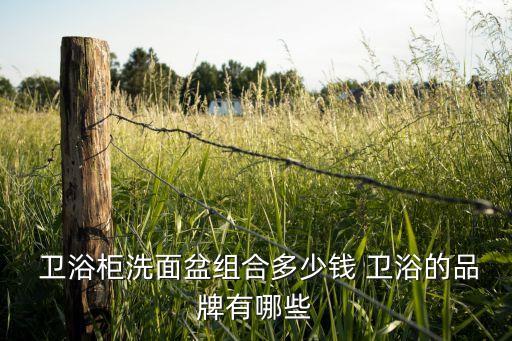  衛(wèi)浴柜洗面盆組合多少錢 衛(wèi)浴的品牌有哪些