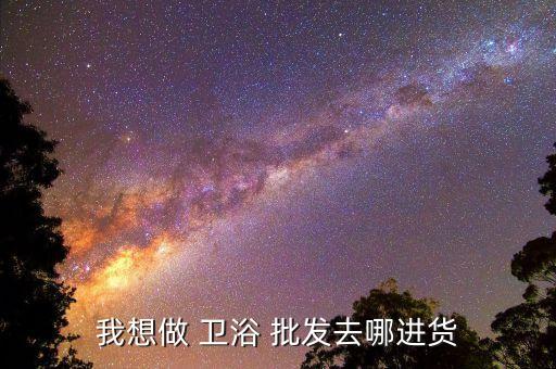 我想做 衛(wèi)浴 批發(fā)去哪進(jìn)貨
