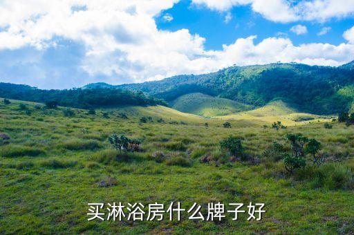 買淋浴房什么牌子好