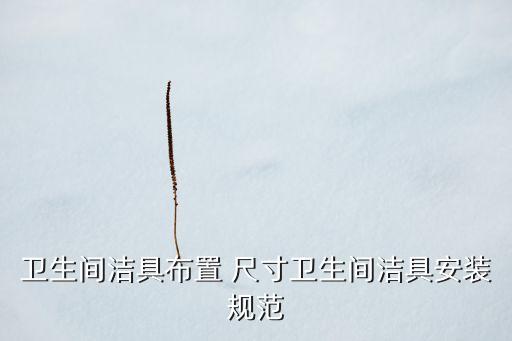 衛(wèi)生間潔具布置 尺寸衛(wèi)生間潔具安裝規(guī)范