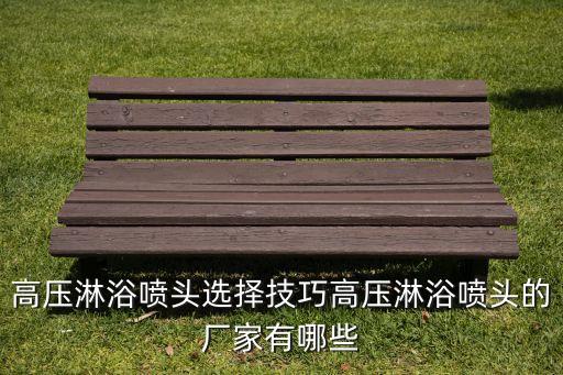 高壓淋浴噴頭選擇技巧高壓淋浴噴頭的廠家有哪些