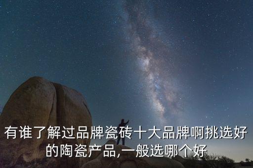 啞光地磚衛(wèi)浴配色推薦品牌