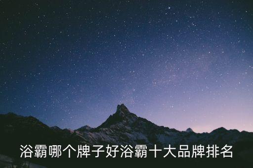 浴霸哪個(gè)牌子好浴霸十大品牌排名